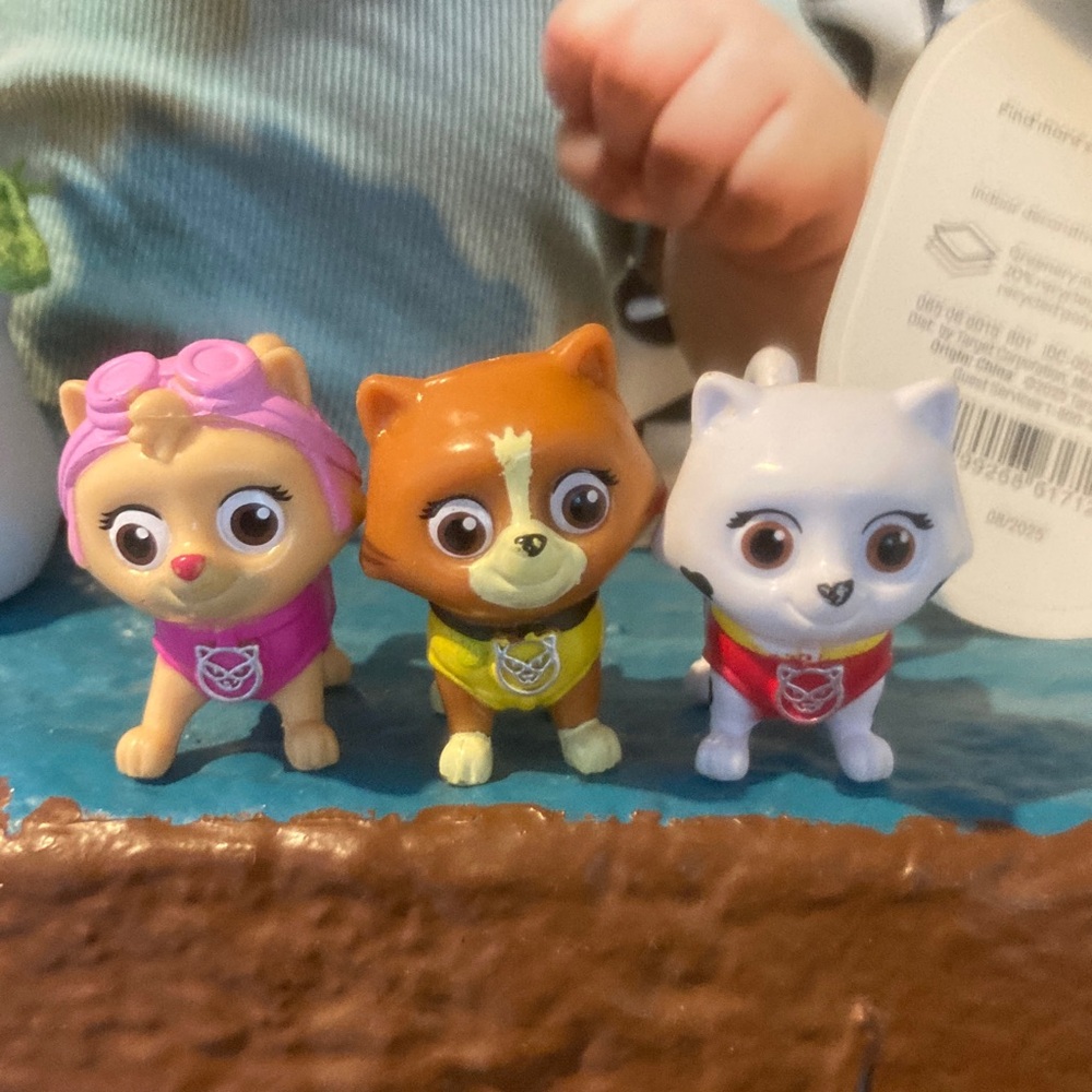 Set of Three Paw Patrol Cats Catastrophe Crew
